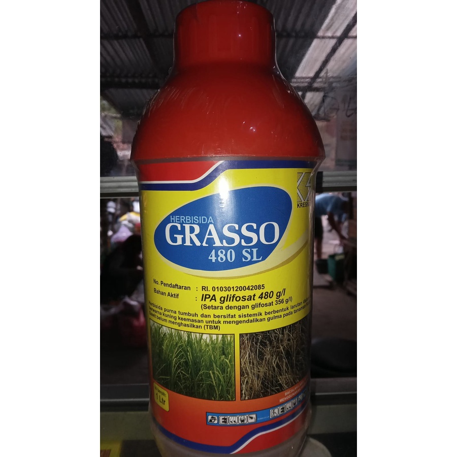 herbisida GRASSO 480SL 1LITER mati sampe akar