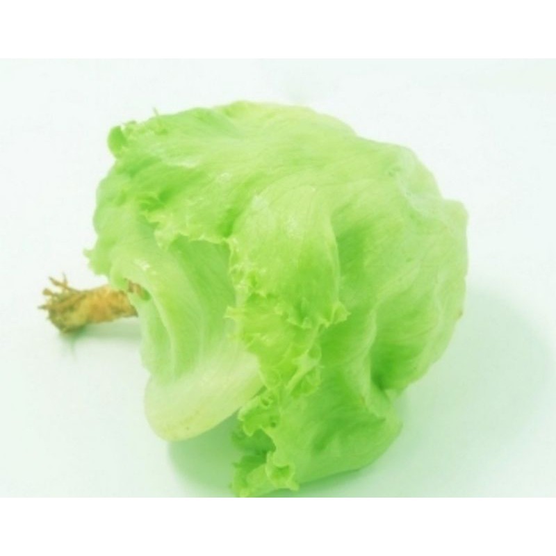 

Lettuce Iceberg 1 pcs