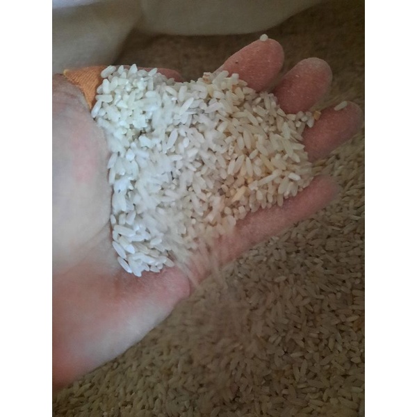 

BERAS SUMBANGAN perkilo