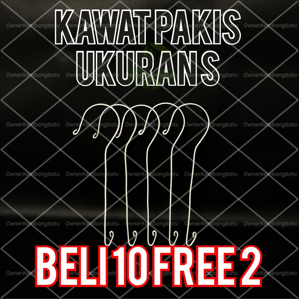 BELI 10 GRATIS 2 KAWAT GANTUNGAN PAKIS ANGGREK