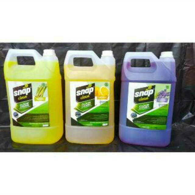 Floor Cleaner Snap Clean