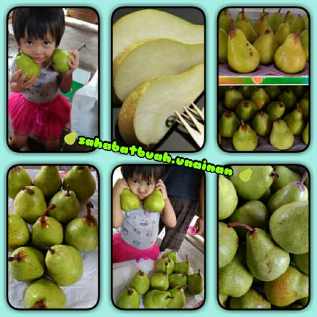 

Pir hijau#buah#vitamin C