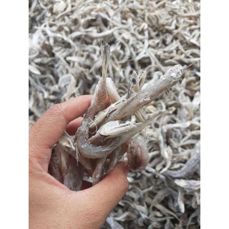 

IKAN ASIN KACANGAN 500GR