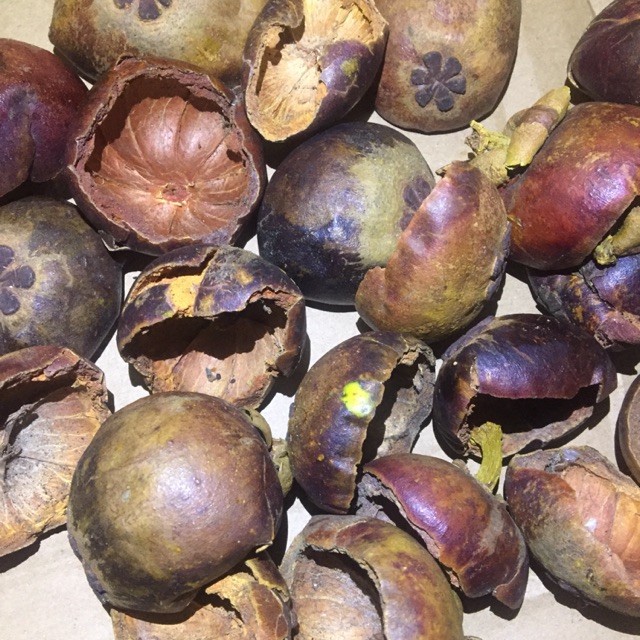 Kulit manggis kering