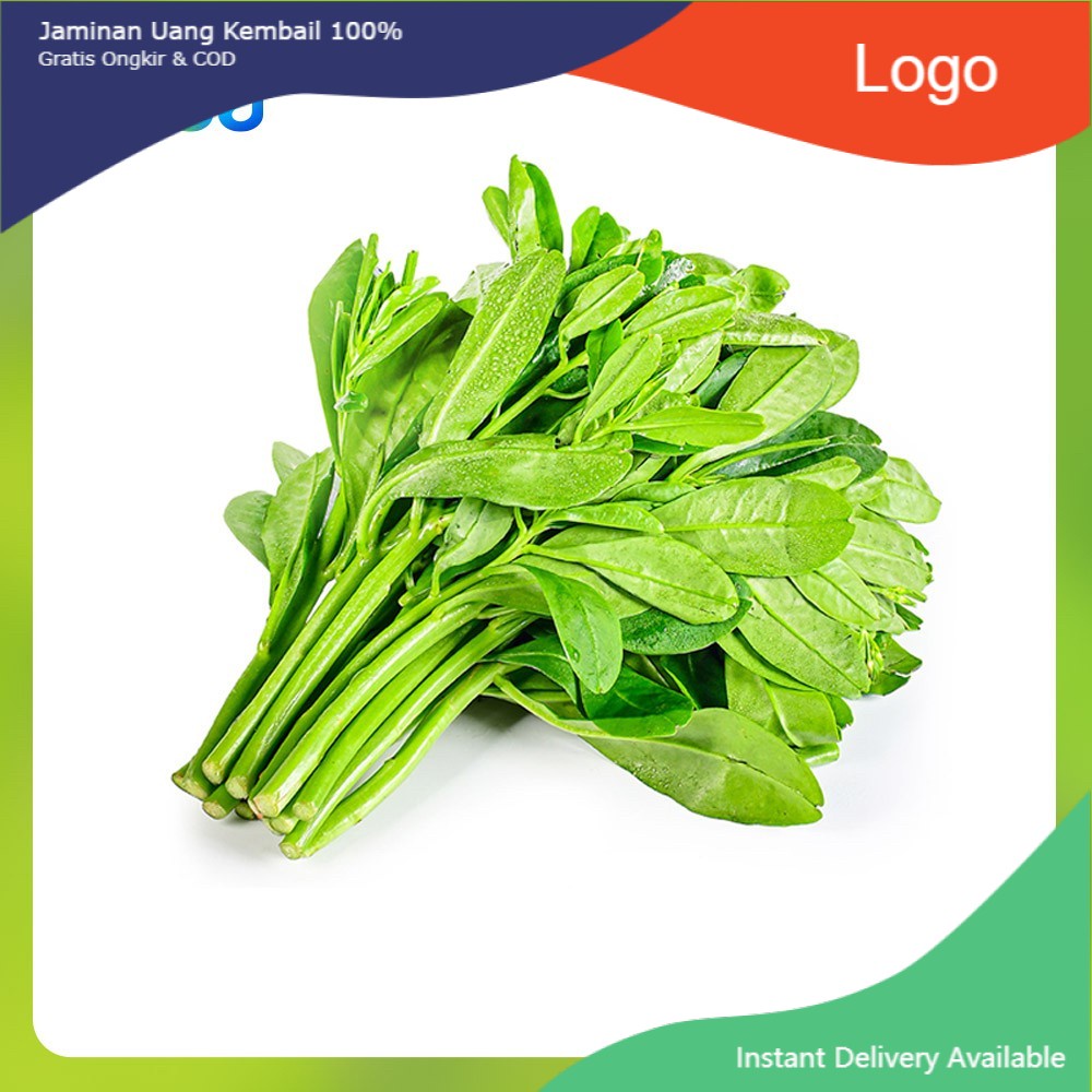

Daun Ginseng Organik 200 g