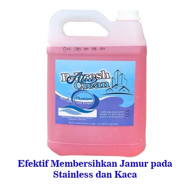 OBAT JAMUR KACA DAN STAINLESS 5 Liter