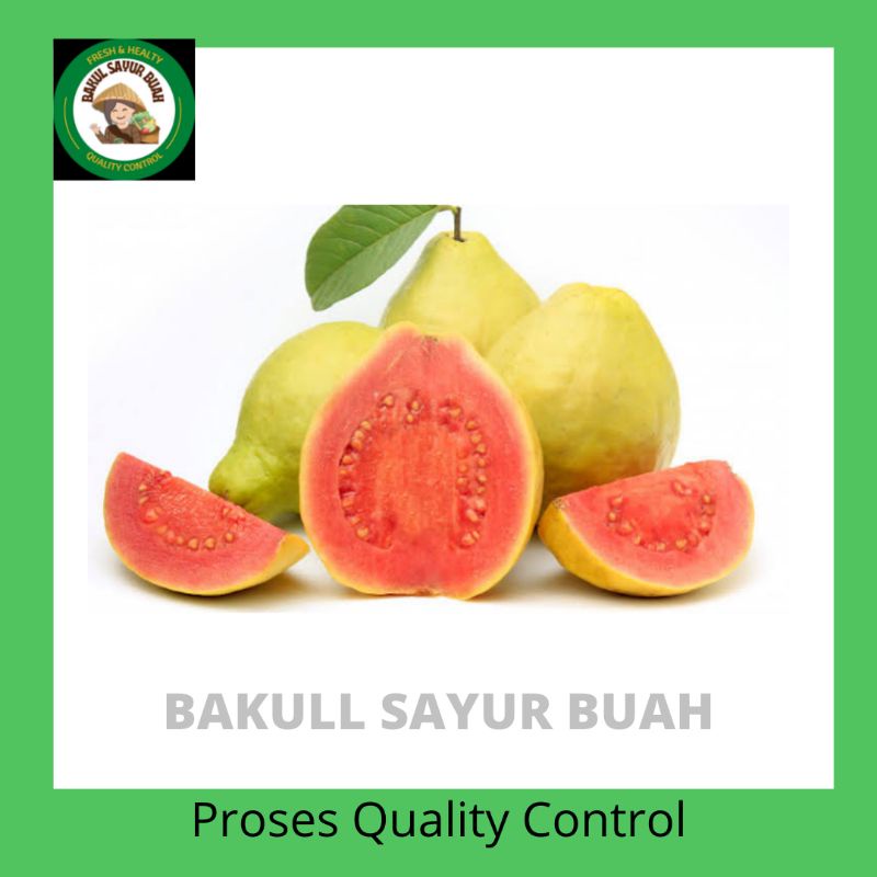 

BUAH JAMBU BIJI MERAH FRESH PER 1KG