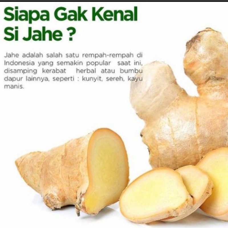 

JAHE PUTIH SUPER / JAHE GAJAH FRESH (1KG)