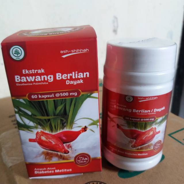 

Ekstrak bawang berlian dayak