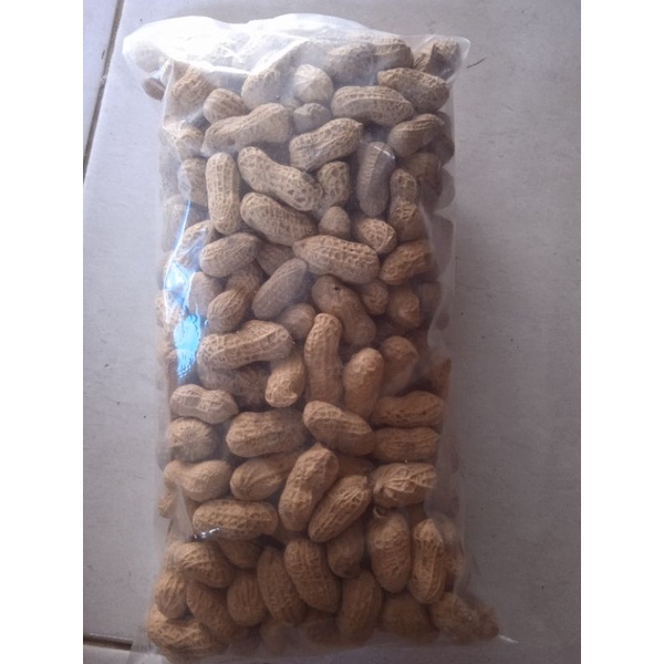 

kacang kulit sangrai