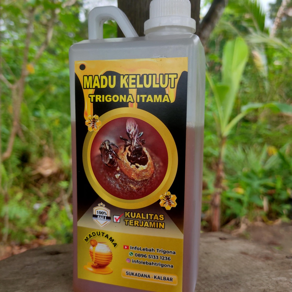 

Madu kelulut, trigona itama, klanceng, teuweul, 1 kg asli dan murni