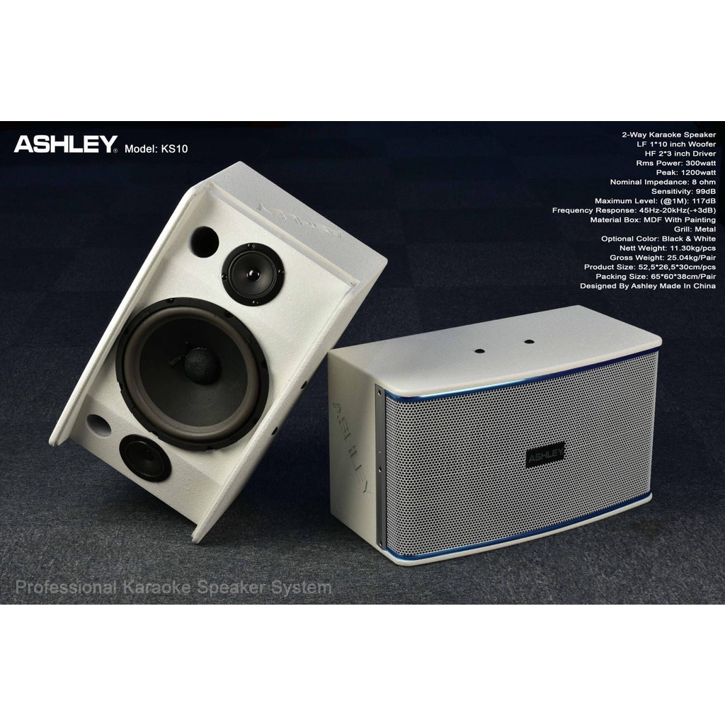 Speaker Karaoke Ashley K2310 10 inch Ashley K 2310