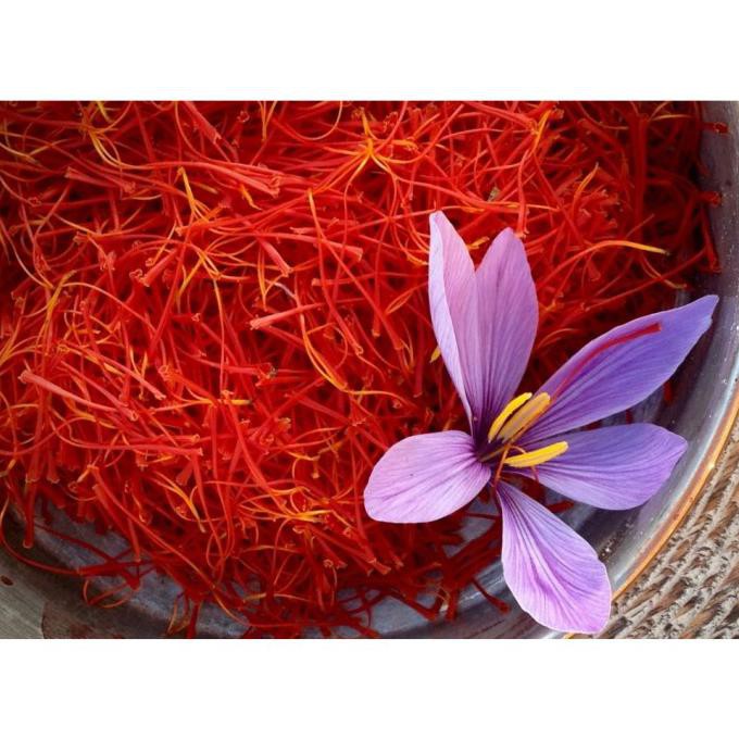 

Saffron Bahraman Original All Red Sargol Kemasan Botol - Satu Gram