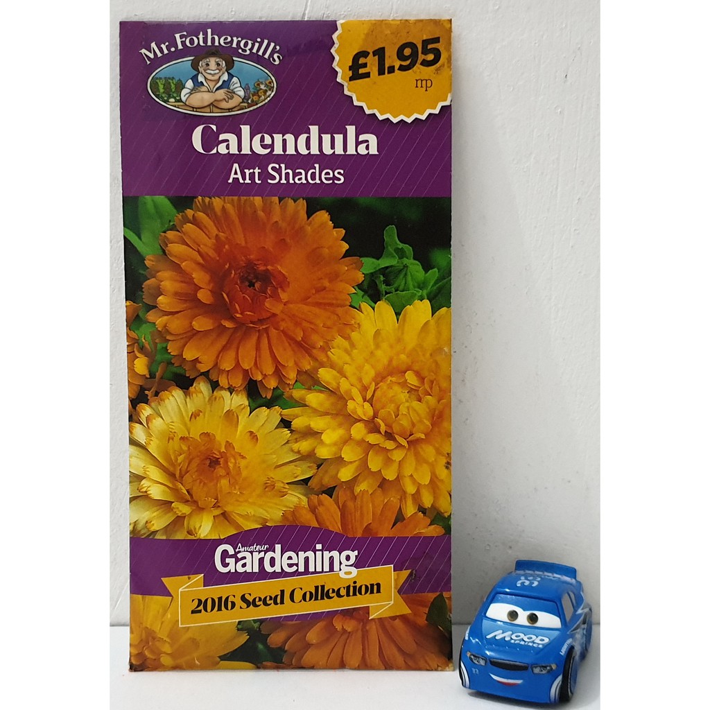 Benih Bunga Mr Fothergills Calendula Art Shades Pack Original UK