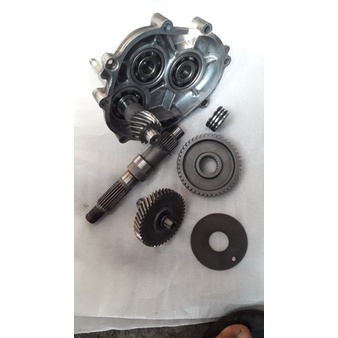 gigi rasio Xeon RC Original