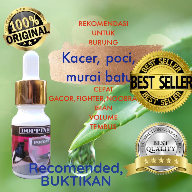 dopping burung, poci, pocong, kacer, murai