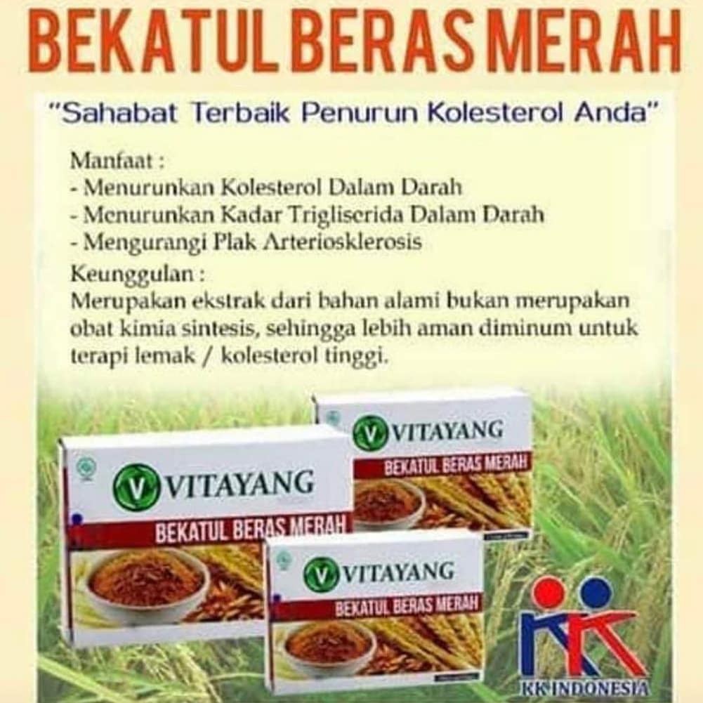 Vitayang Bekatul Beras Merah Kk Indonesia Kolesterol Dalam Darah Menurunkan Trigliserida Herbal Indonesia