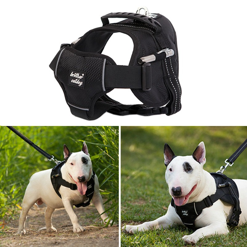 Tali Tuntun Warna Hitam Untuk Anjing Kucing Ukuran Kecil