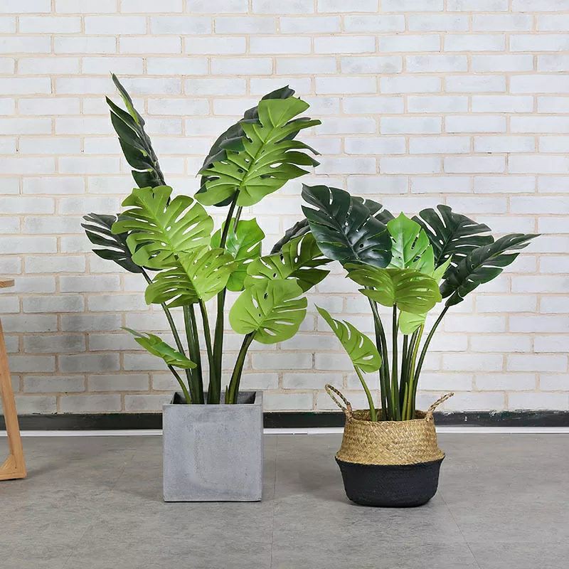 POHON MONSTERA LATEX Pohon monstera artificial monstera palsu daun monstera latex monstera hias