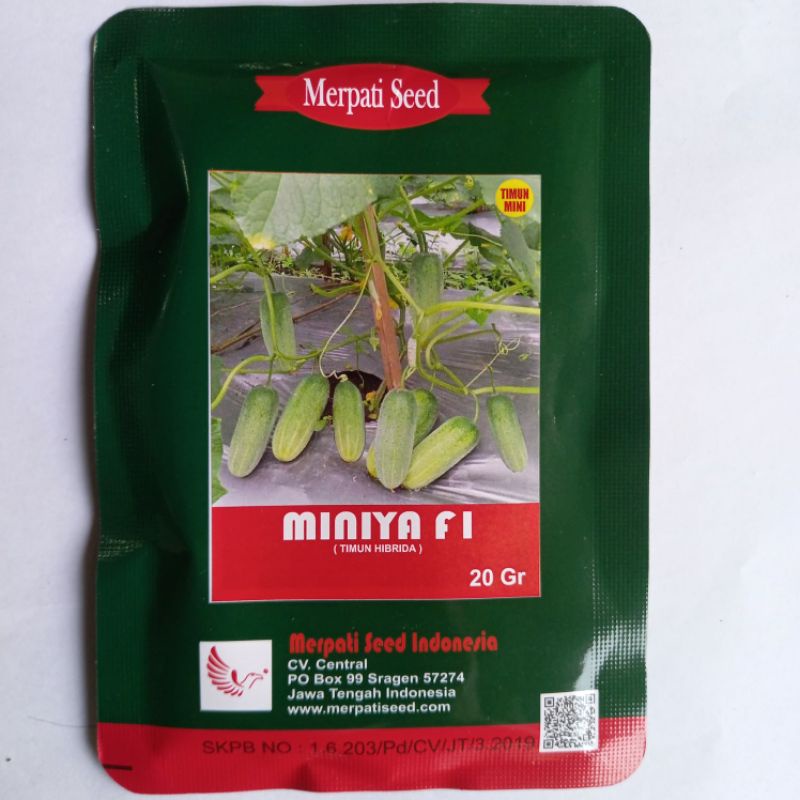 Bibit Timun Baby MINIYA F1 Isi 20 Gram | Benih Timun Mini | Mentimun | Timun Lalap