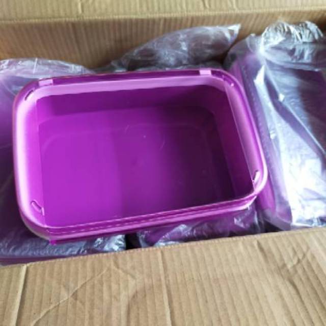 signature rectangular 2L - ezy keeper (1pc)