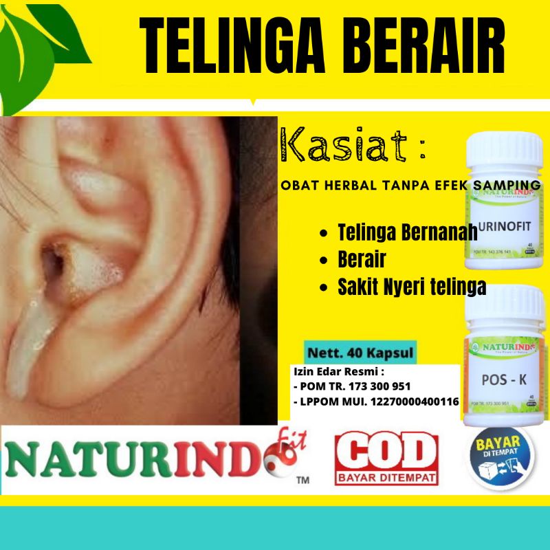 Obat Telinga Bernanah Herbal Congek Gangguan Pendengaran Telinga Berair