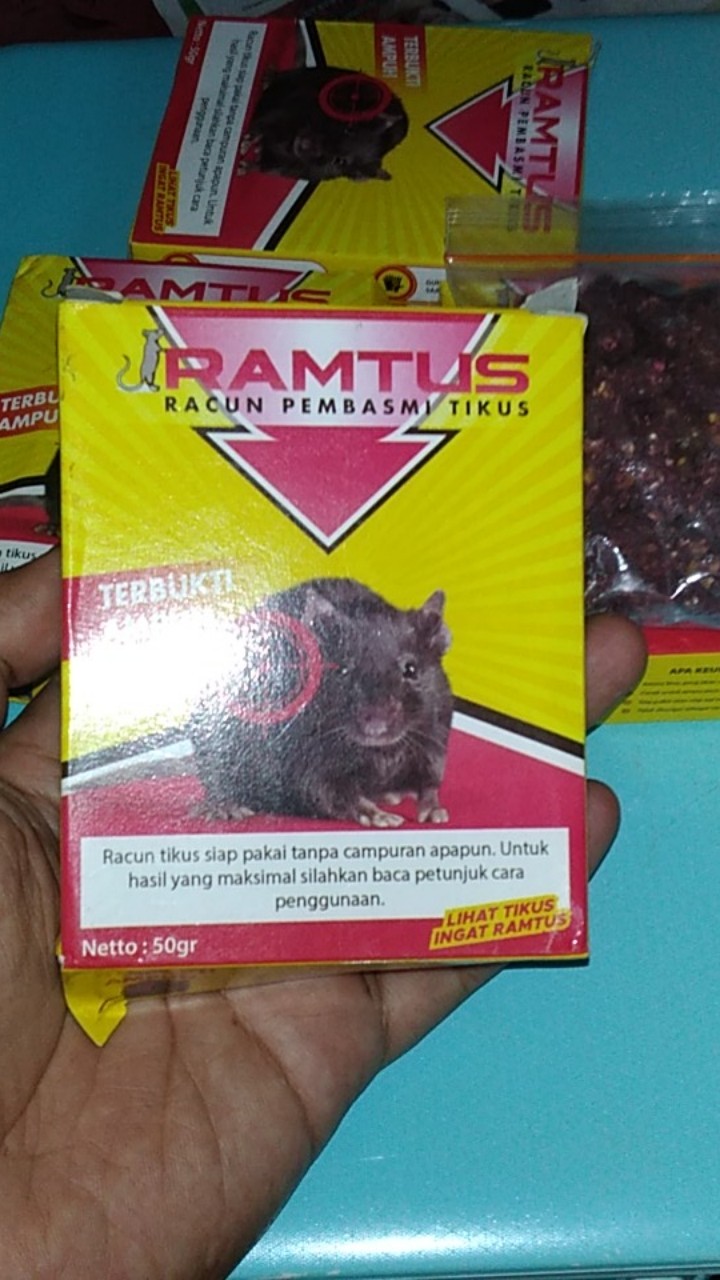Racun Tikus Ramtus Asli Alami Mati Kering Tidak Bau Pembasmi Pengusir Tikus Super Paling Ampuh 6 Pak