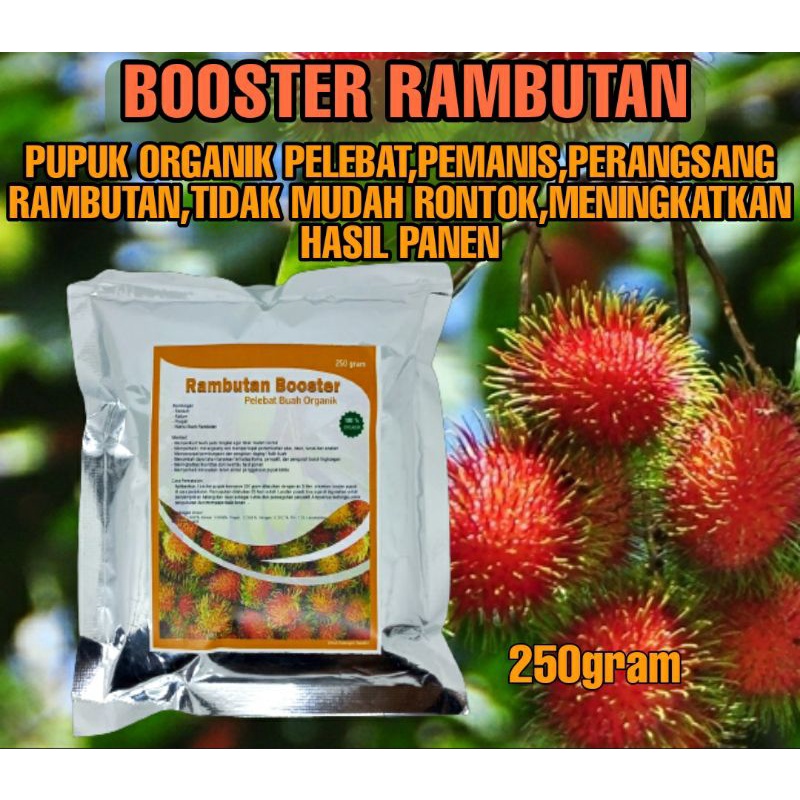 Booster Buah Rambutan,Pupuk Pelebat Rambutan Perangsang Buah Serbuk Terbaik Agar Cepat Berbuah Lebat