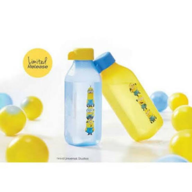 Tupperware MINION SERIES (satuan) Minion Bottle & Eco Bottle Square 500ml (1) Botol Minum segiempat 