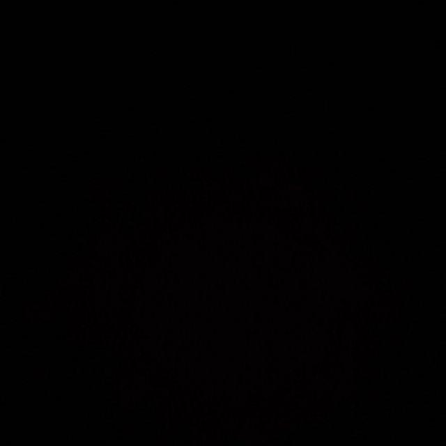 Reliza Wall Sticker Pohon Sakura Biru Tree Blue Flower Ay9026b Stiker Dinding