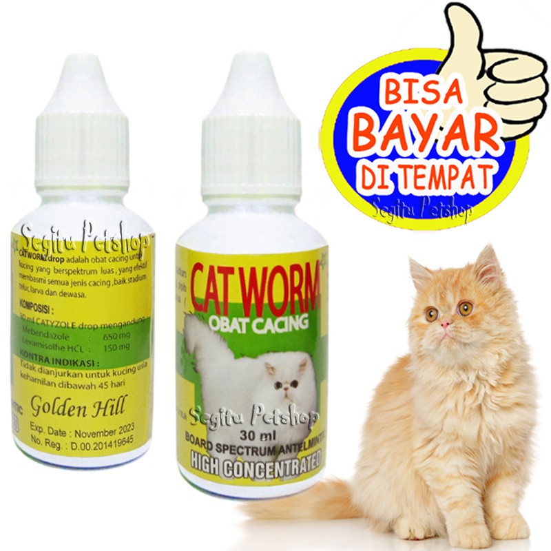 OBAT CACING KUCING SAKIT PARASIT KITTEN CATWORM  Shopee Indonesia