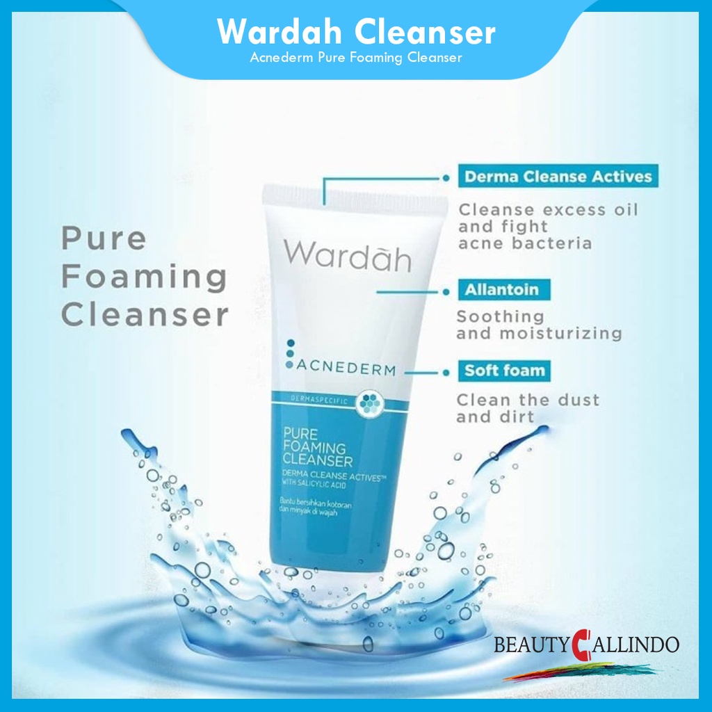 Wardah Acnederm Pure Foaming Cleanser Sabun Wajah Jerawat 60ml