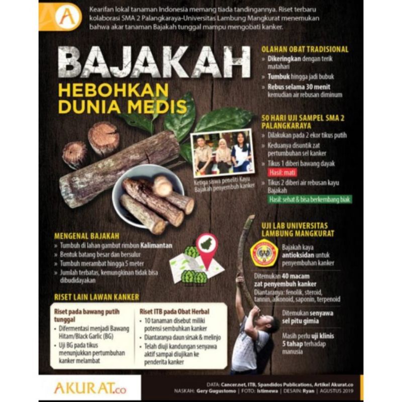 Akar Bajakah Kalalawit Merah Asli Kalimantan (1kg)