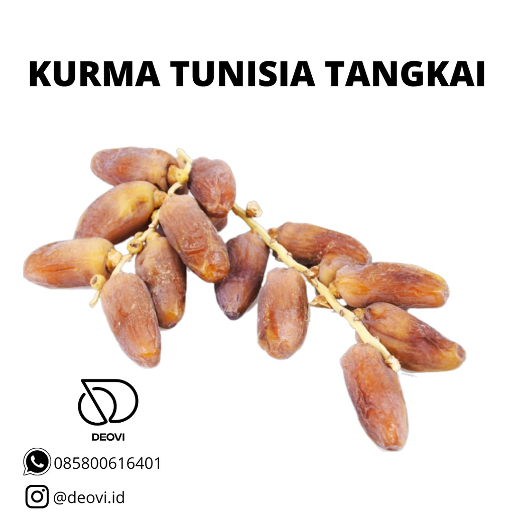 

KURMA TUNISIA TANGKAI