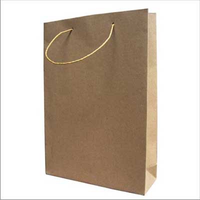 

paper bag kertas polos ukuran L 25x30