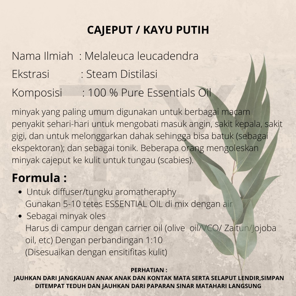 Pengharum ruangan minyak esensial oil burner / Aromaterapi Cajeput / Minyak Atsiri Kayu Putih