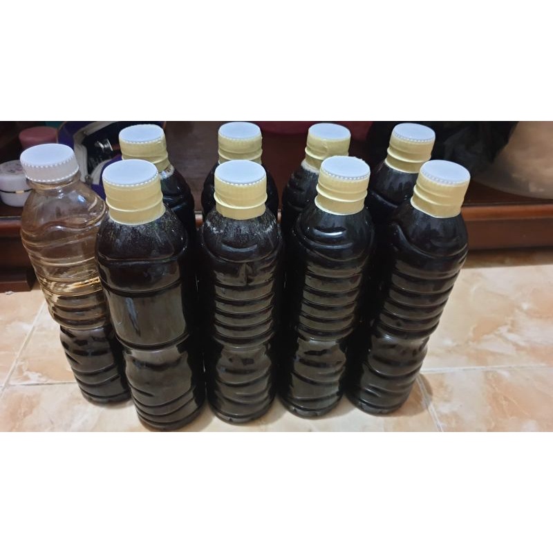 

madu hutan asli