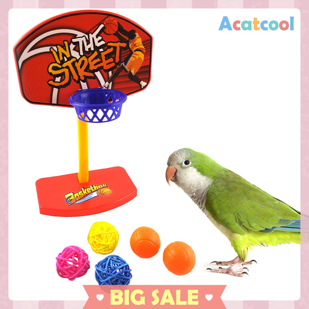 Pet Birds Chew Parakeet Bell Balls Parrot Toys Birdie Basketball Hoop Prop