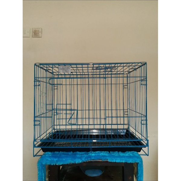 kandang kucing, kelinci, dan anjing-Biru muda