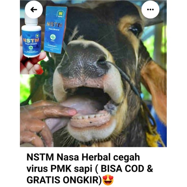 PROMO / DISKON /11.11 /NSTM /NASA ORIGINAL | NSTM NASA TRACE MINERAL ORIGINAL 100% | NSTM/COD/FREE/B