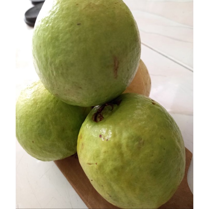 

jambu biji merah citayam