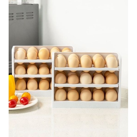 DD - 30 Grids Egg Holder Container / Kotak Penyimpanan Telur