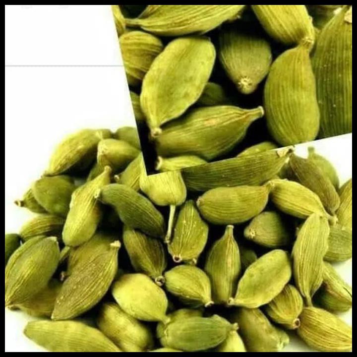 Kualitas Terbaik 300Biji/Benih/Bibit Herbal Rempah Kapulaga Kapol Kapulogo India Hindia