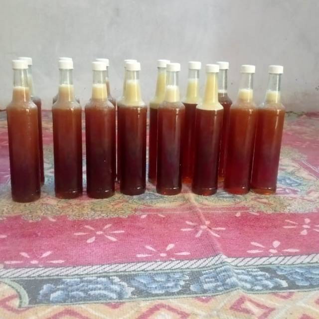 

Madu hutan liar