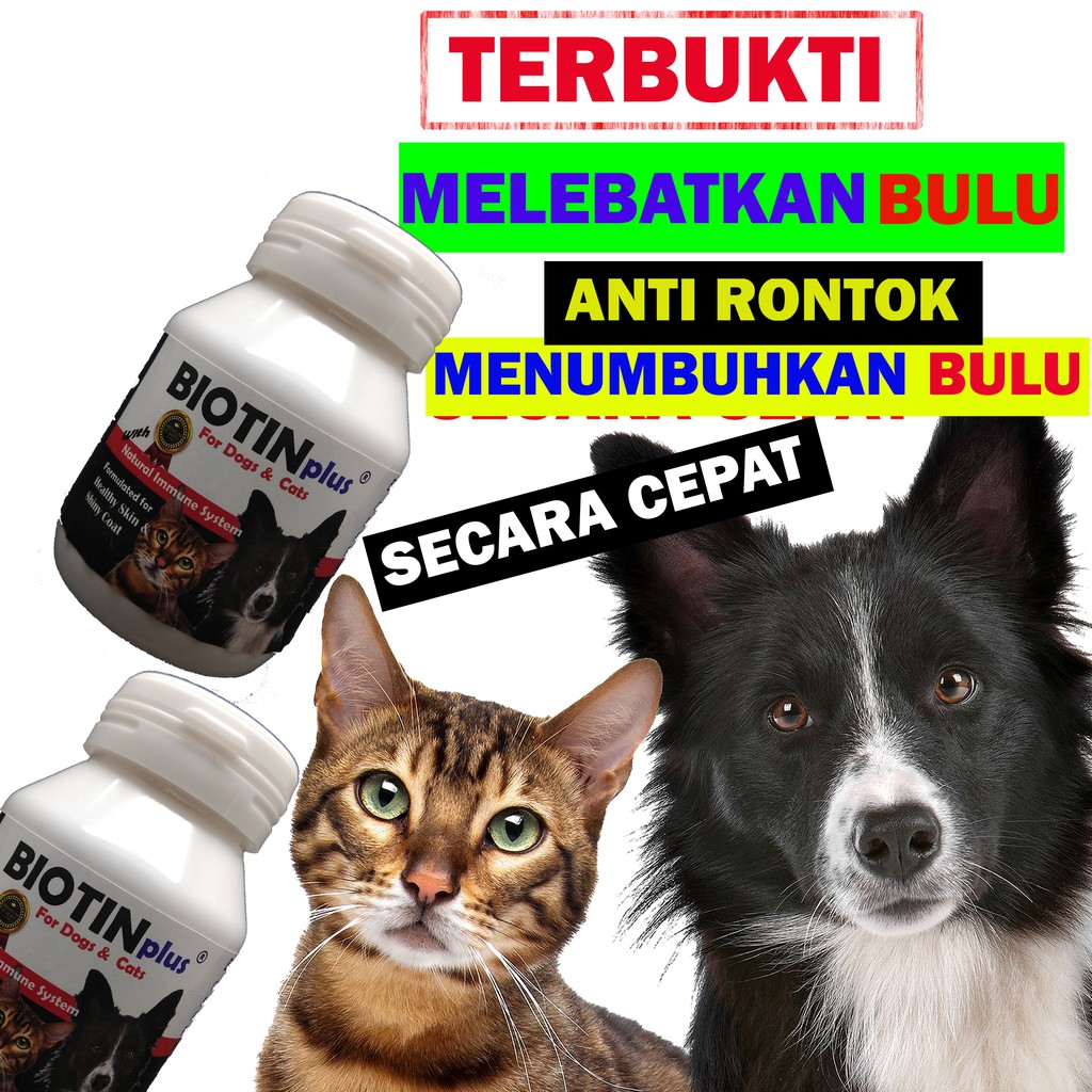 BIOTINplus VITAMIN BULU KUCING ANJING CAT DOG PENUMBUH BULU RONTOK OBAT PENYAKIT KULIT ANTI RONTOK