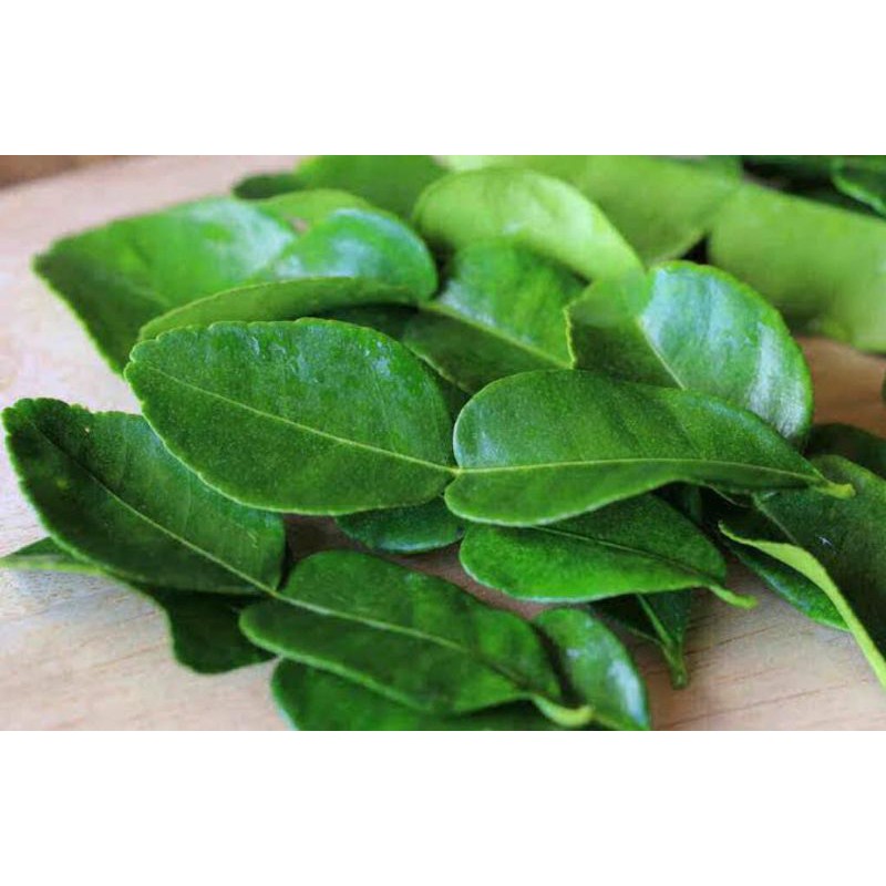 

Daun jeruk