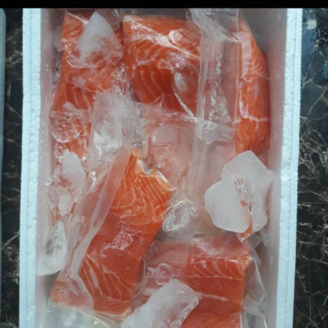 

TERMURAH SALMON FRESH