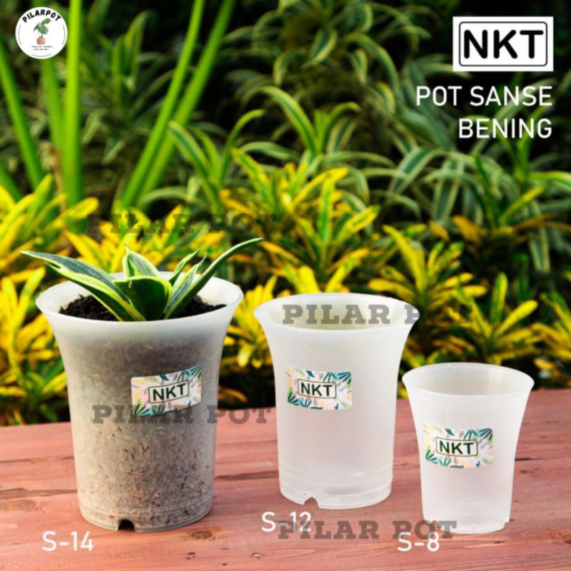 pot bunga tanaman nkt sanse 8CM BENING TRANSPARAN - NKT SANSE 8 BENING