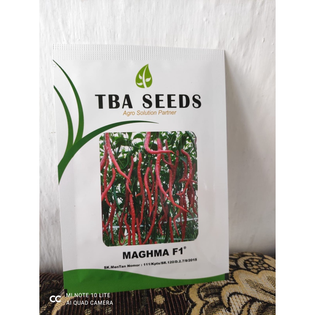 Benih Cabe Cabai Besar MAGHMA F1 10gr dari TBA Seeds