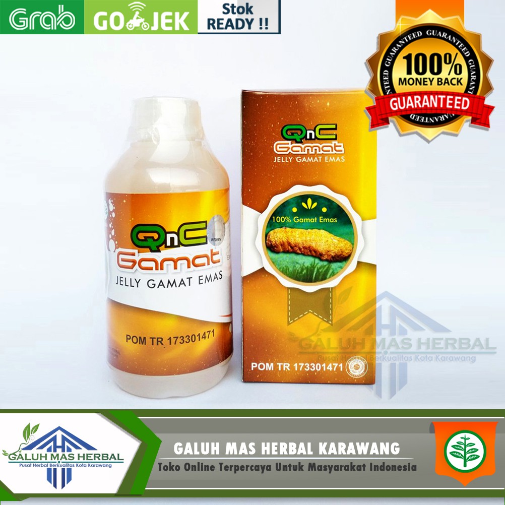 Obat Herbal untuk Sistem Pencernaan Maag, Asam Lambung, Gerd, infeksi Lambung, Radang Usus